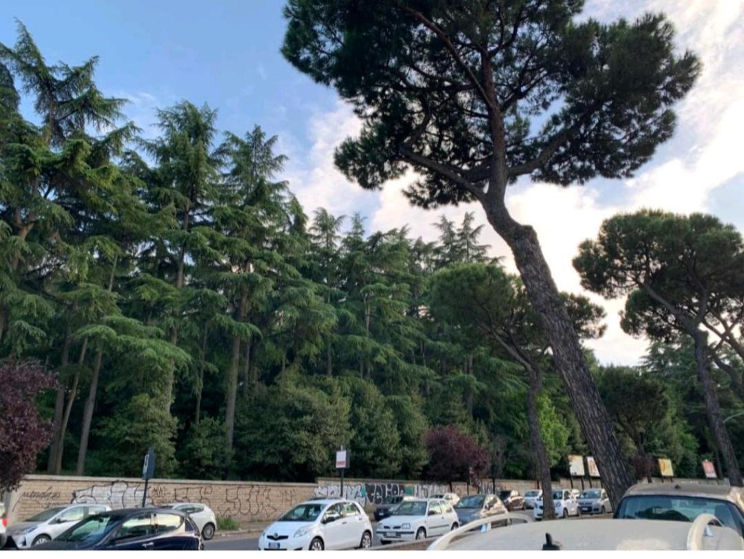 Roma San Pietro Apartment Ngoại thất bức ảnh